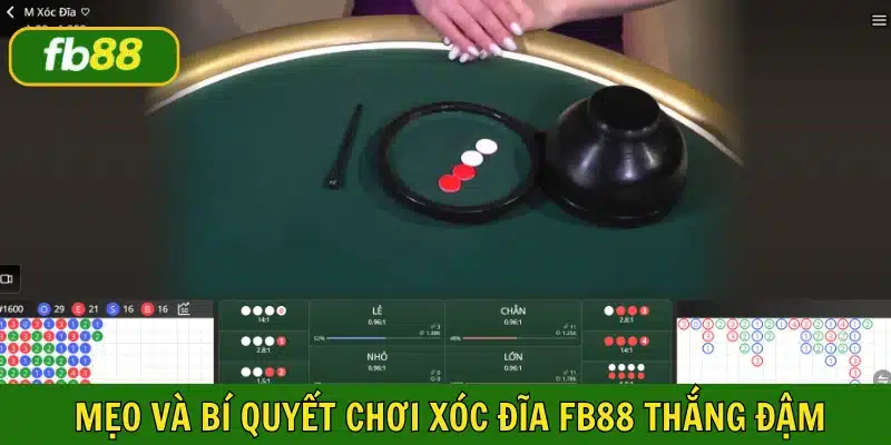 Những bí quyết chinh chiến hiệu quả, thắng đậm từ chuyên gia