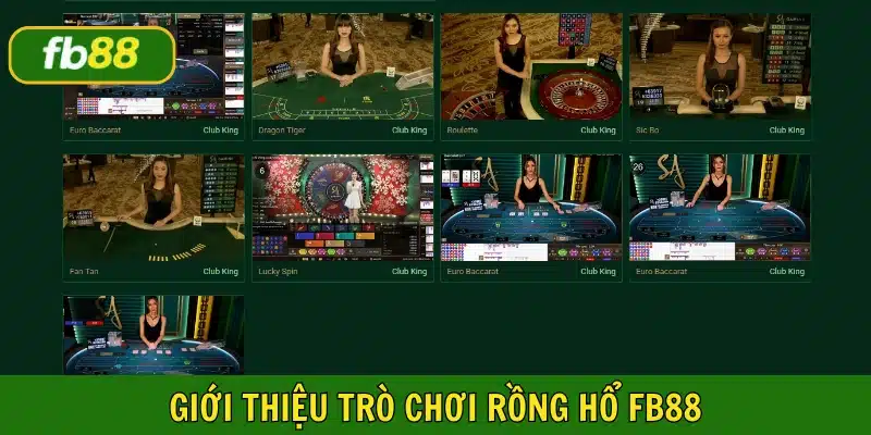 Rồng hổ FB88 thu hút đông đảo người tham gia năm 2025 