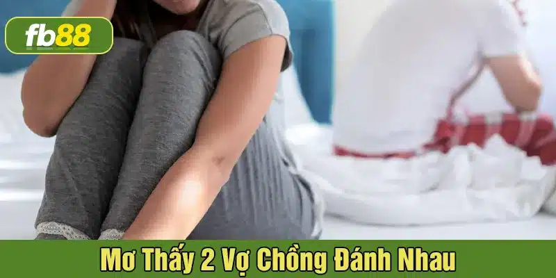 mơ thấy 2 vợ chồng đánh nhau
