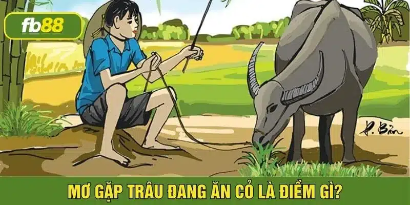 Giải đáp giấc mơ thấy trâu đánh con gì may mắn